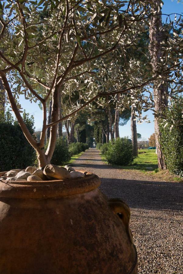 La Vecchia Cantina Guzzardi Lari المظهر الخارجي الصورة